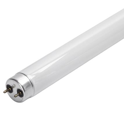 UV lysstofrør til insektfælde G13/10W/230V 36,5 cm - BRILAGI