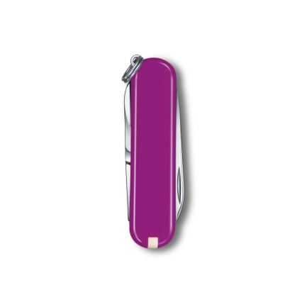 Victorinox - Multifunktionel lommekniv CLASSIC SD 5,8 cm/7 funktioner lilla