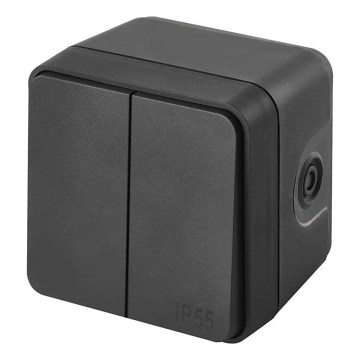 Vægafbryder, 2-knaps vekselsfunktion nr. 6+6, IP55, antracit