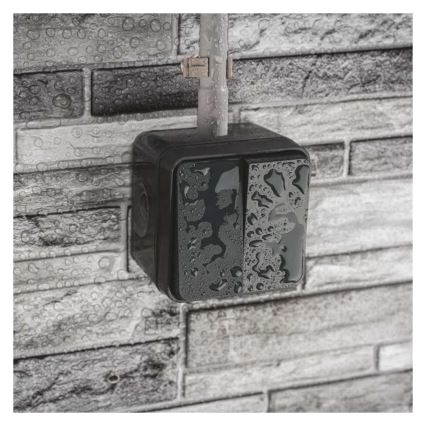 Vægafbryder, 2-knaps vekselsfunktion nr. 6+6, IP55, antracit