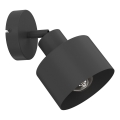 Væghængt spotlampe PARKLA 1xE27/15W/230V sort