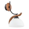 Væglampe BAFIA 1xE27/15W/230V brun