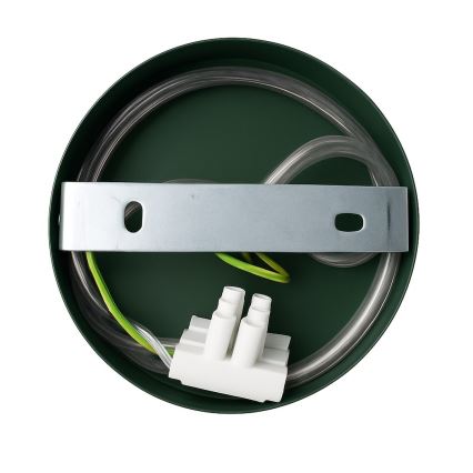 Væglampe CAPITAL 1xGX53/15W/230V grøn