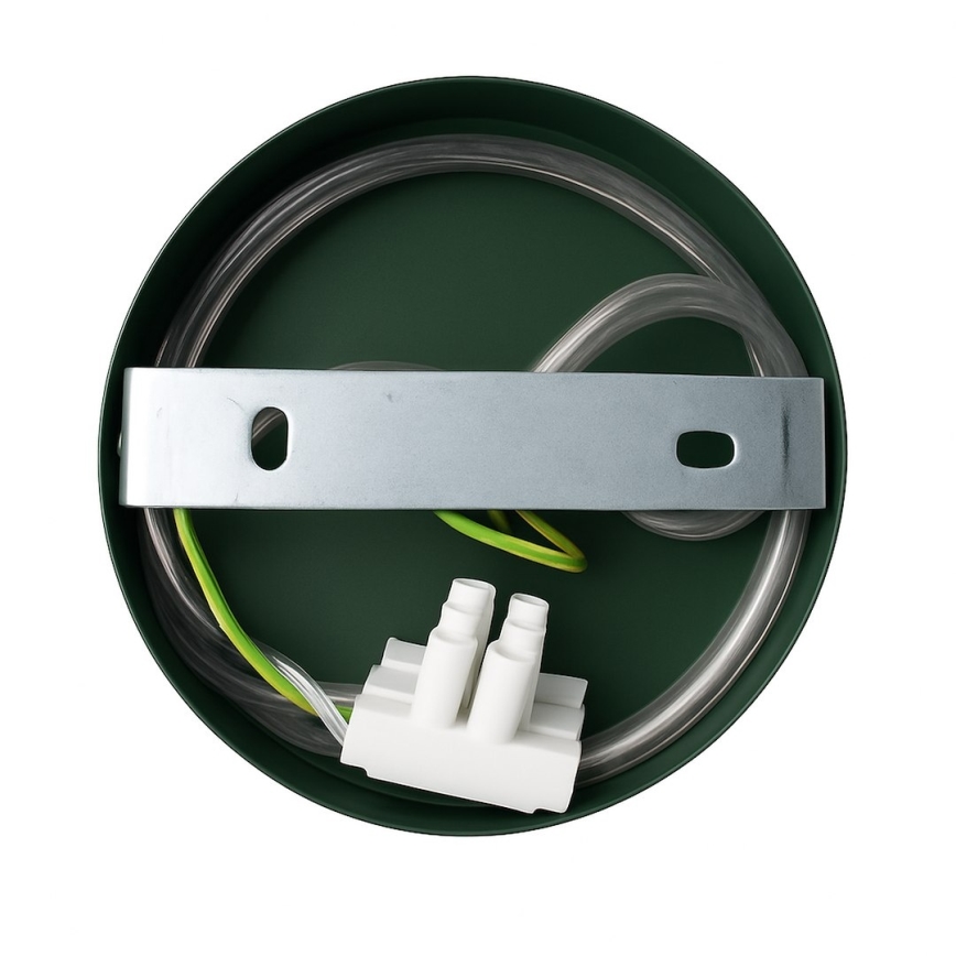 Væglampe CAPITAL 1xGX53/15W/230V grøn