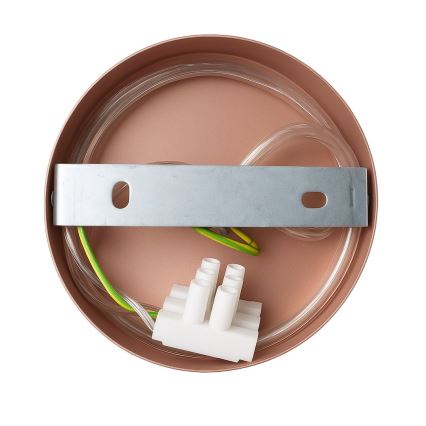 Væglampe CAPITAL 1xGX53/15W/230V rosaguld