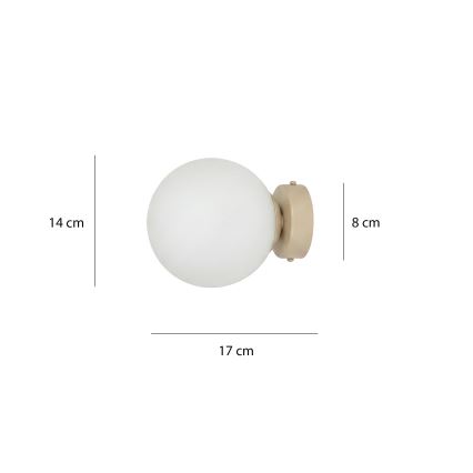 Væglampe MAGNUS 1xE14/10W/230V beige/hvid