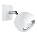 Vægspot OCULARE 1xGU10/10W/230V