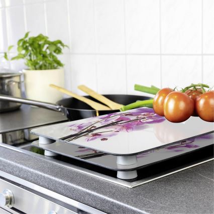WENKO 2521433500 - Afdækningsplade - Blomst/Plante 30 x 52 cm, farverig