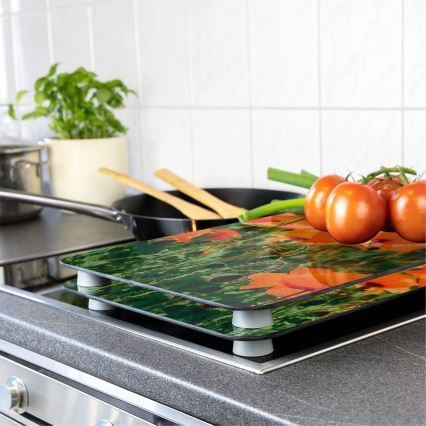 WENKO 2521434500-Afdækningsplade ABDECKPLATTE - Blomst/Plante 30x52 cm flerfarvet