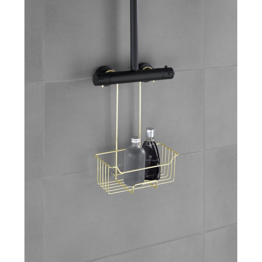 WENKO 25937100 - Brusekurv MILO 25x36 cm rustfrit stål/guld/transparent