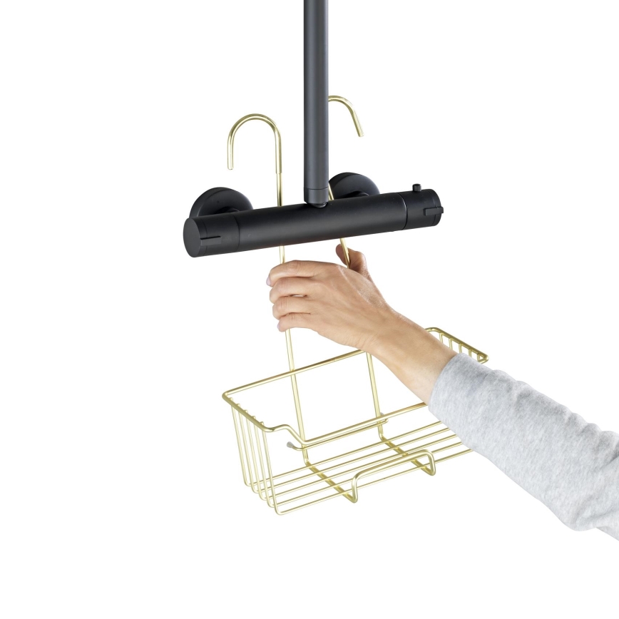 WENKO 25937100 - Brusekurv MILO 25x36 cm rustfrit stål/guld/transparent