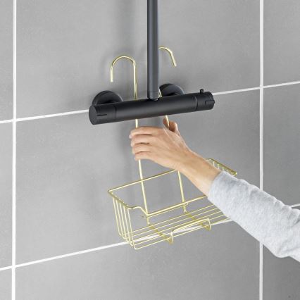 WENKO 25937100 - Brusekurv MILO 25x36 cm rustfrit stål/guld/transparent