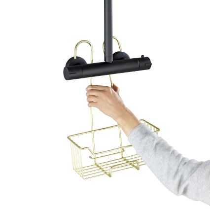 WENKO 25937100 - Brusekurv MILO 25x36 cm rustfrit stål/guld/transparent