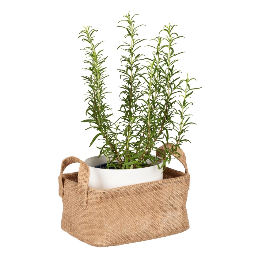 WENKO 64470100 - Kurv JUNA 20x15 cm brun