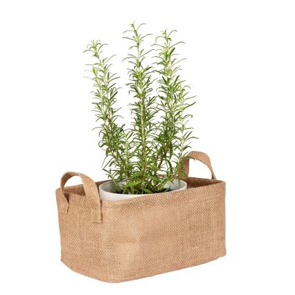 WENKO 64471100 - Kurv JUNA 24x17 cm brun