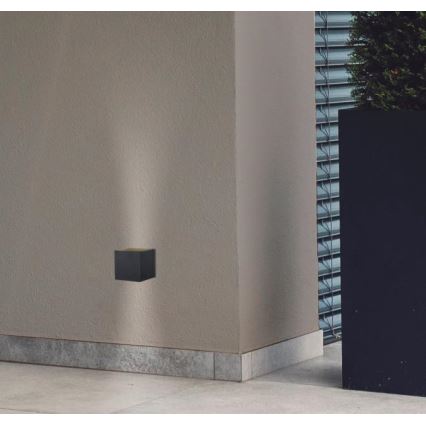 Westinghouse 61149 - Udendørs LED væglampe FREYA 2xLED/4,5W/230V IP44 sort