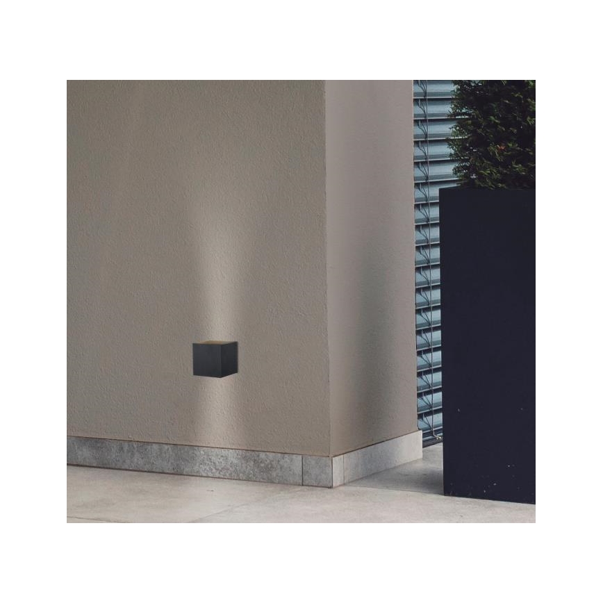 Westinghouse 61149 - Udendørs LED væglampe FREYA 2xLED/4,5W/230V IP44 sort