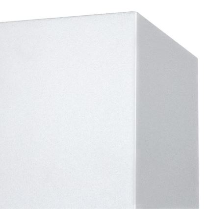 Westinghouse 61150 - Udendørs LED væglampe FREYA 2xLED/4,5W/230V IP44 hvid
