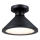 Westinghouse 61238 - Udendørs loftlampe WALTER 1xE27/60W/230V IP44