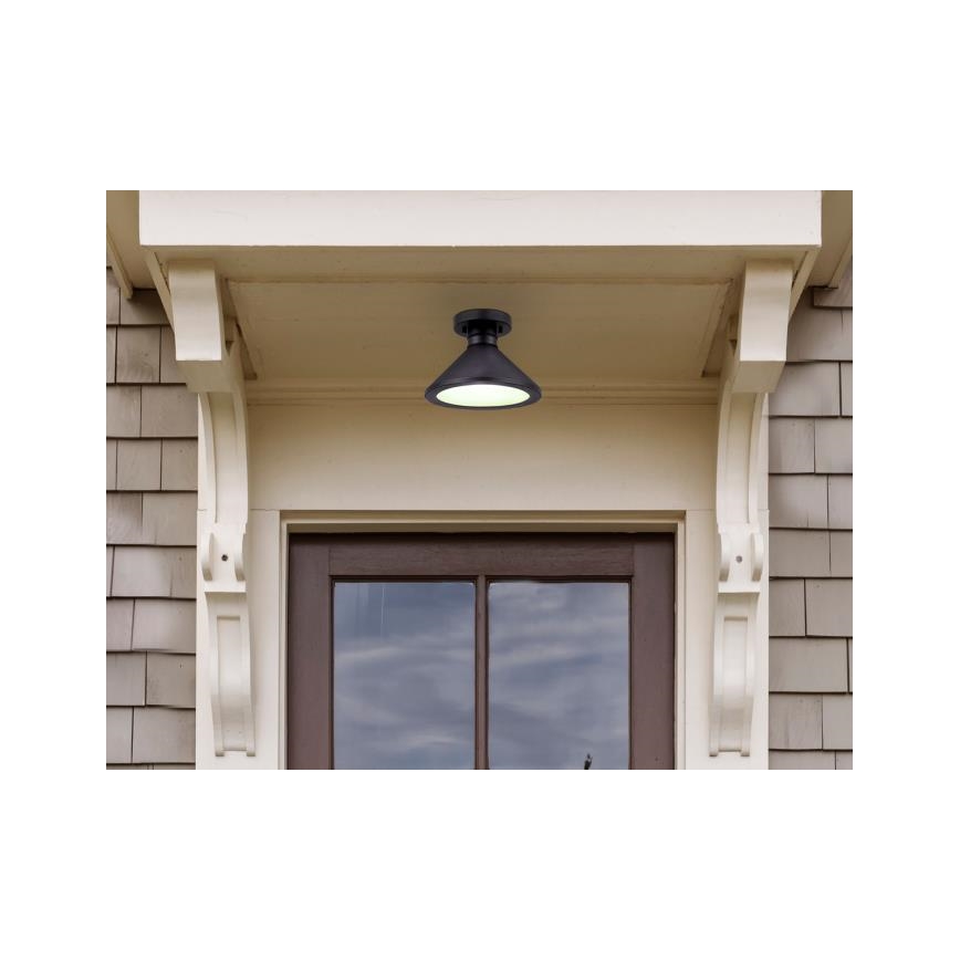 Westinghouse 61238 - Udendørs loftlampe WALTER 1xE27/60W/230V IP44
