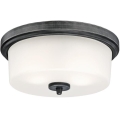 Westinghouse 6325140 - Loftlampe CEDRIC 2xE27/40W/230V Ø 33 cm