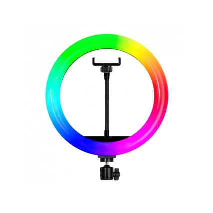 Winner Group - LED RGB dæmpbar gulvlampe med stativ og holder til vlogging LED/10W/5V