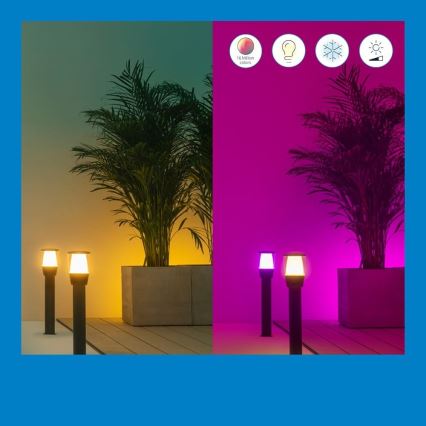 WiZ - LED RGBW Dæmpbar udendørslampe ELPAS LED/4,8W/12/230V 2700-5000K IP65 Wi-Fi