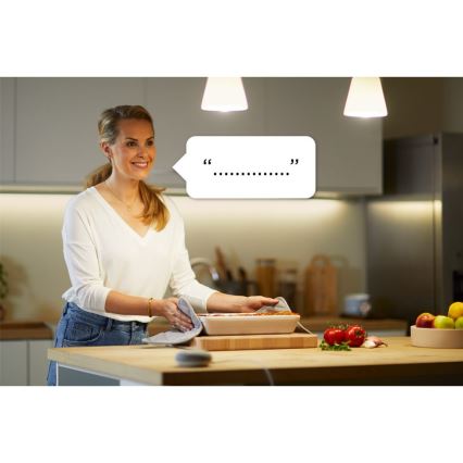 WiZ - Smart-stik F 2300W + powermeter Wi-Fi SCHUKO