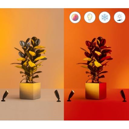 WiZ - SÆT med 2 stk. LED RGBW dæmpbare udendørs spotlys LED/10W/230V 2700-5000K IP65 Wi-Fi