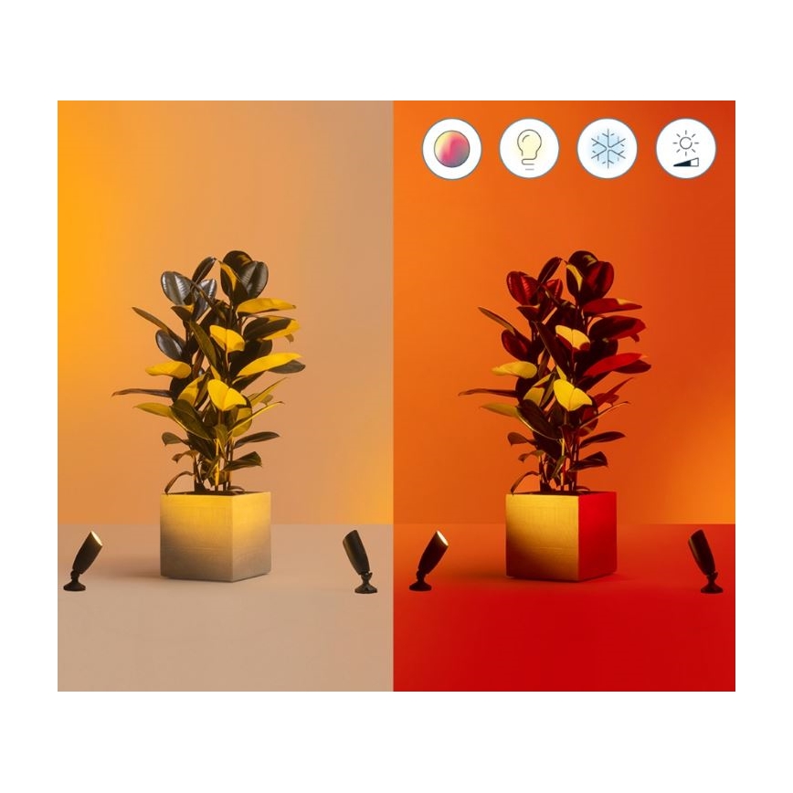 WiZ -SÆT 2x LED RGBW Udendørslampe dæmpbar SPOT LED/10W/230V 2700-5000K IP65 Wi-Fi