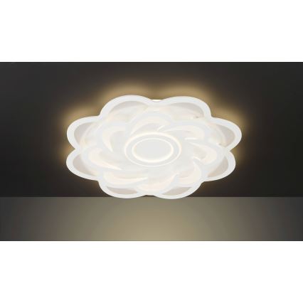 Wofi 11213 - LED loftlampe dæmpbar ICA LED/52W/230V 2700-5500K + fjernbetjening