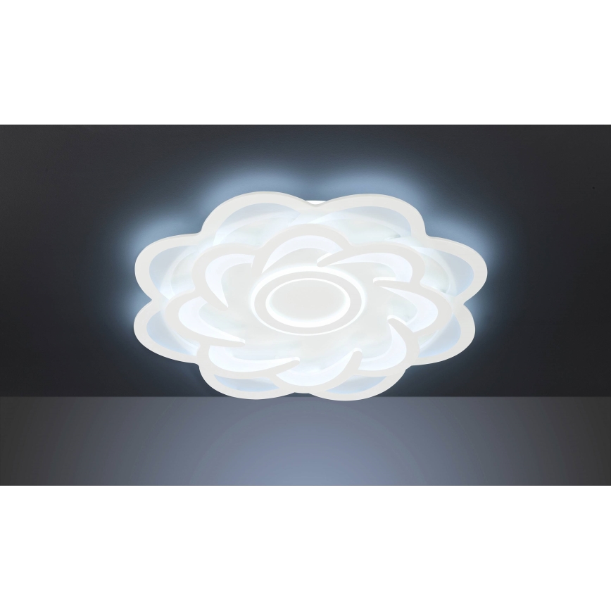 Wofi 11213 - LED loftlampe dæmpbar ICA LED/52W/230V 2700-5500K + fjernbetjening