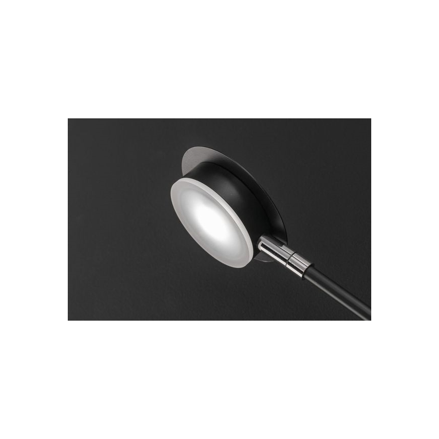 Wofi 446604109000 - LED væglampe BELIZE 4xLED/5W/230V 3000K sort