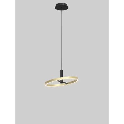 Wofi 6016-104L - LED-dæmpbar pendel med wire BREST LED/19W/230V Ø 42 cm sort/guld