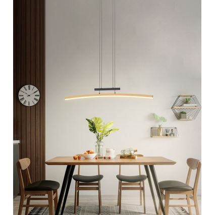 Wofi 7020-106 - LED Dæmpbar loftlampe på wire BOLOGNA LED/27W/230V