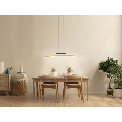 Wofi 7020-106 - LED Dæmpbar loftlampe på wire BOLOGNA LED/27W/230V