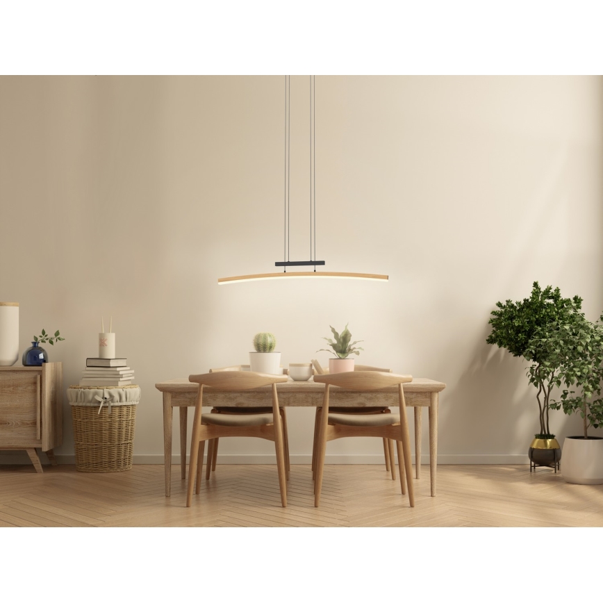 Wofi 7020-106 - LED Dæmpbar loftlampe på wire BOLOGNA LED/27W/230V
