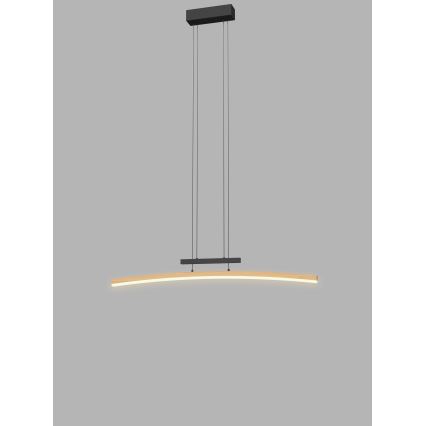 Wofi 7020-106 - LED Dæmpbar loftlampe på wire BOLOGNA LED/27W/230V