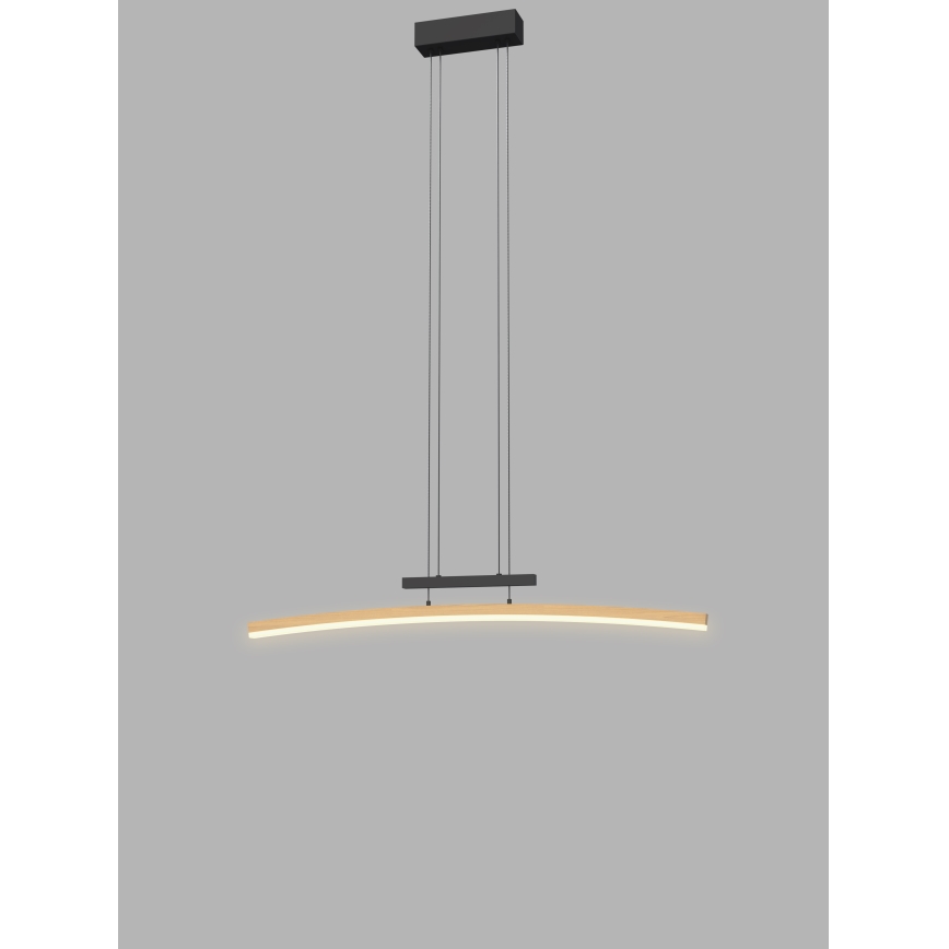 Wofi 7020-106 - LED Dæmpbar loftlampe på wire BOLOGNA LED/27W/230V