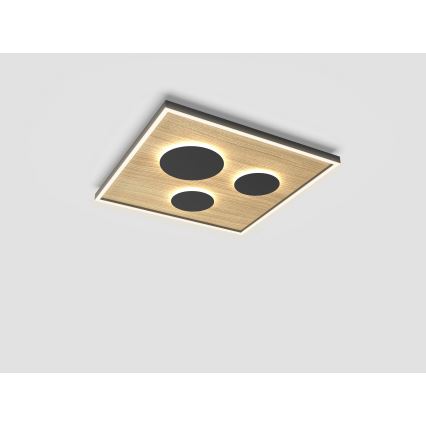 Wofi 9012-306L - LED loftlampe dæmpbar DIJON LED/40W/230V