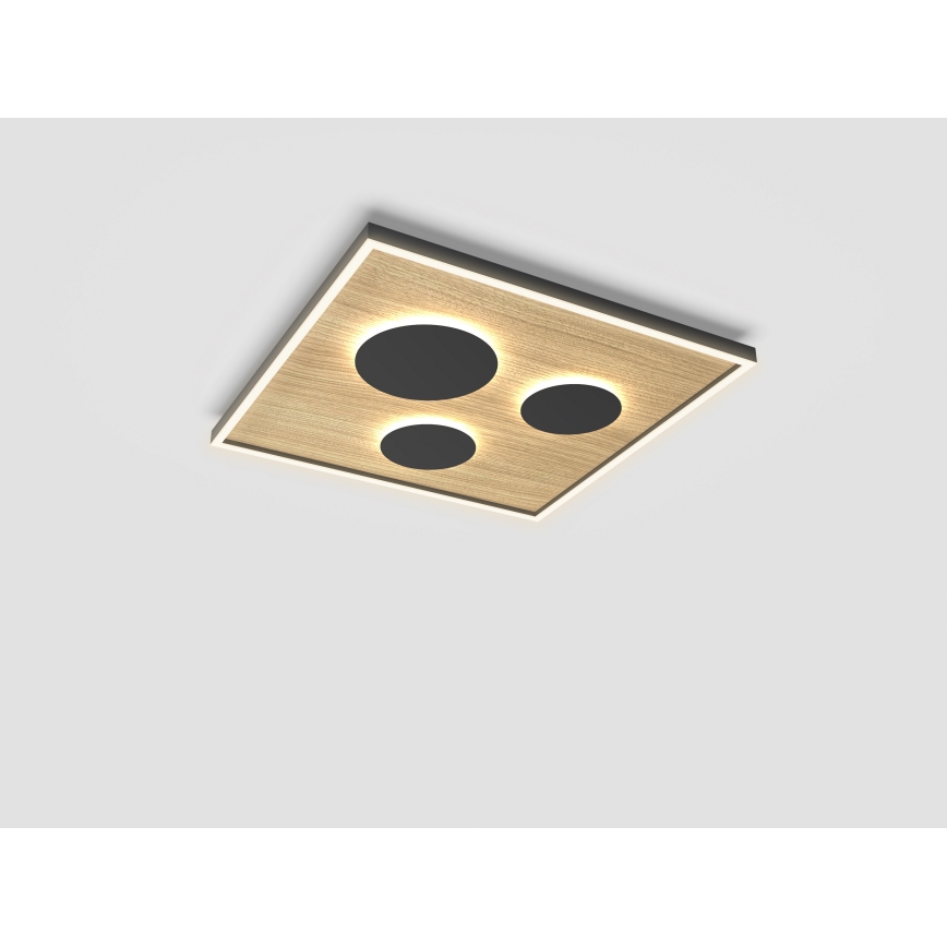 Wofi 9012-306L - LED loftlampe dæmpbar DIJON LED/40W/230V