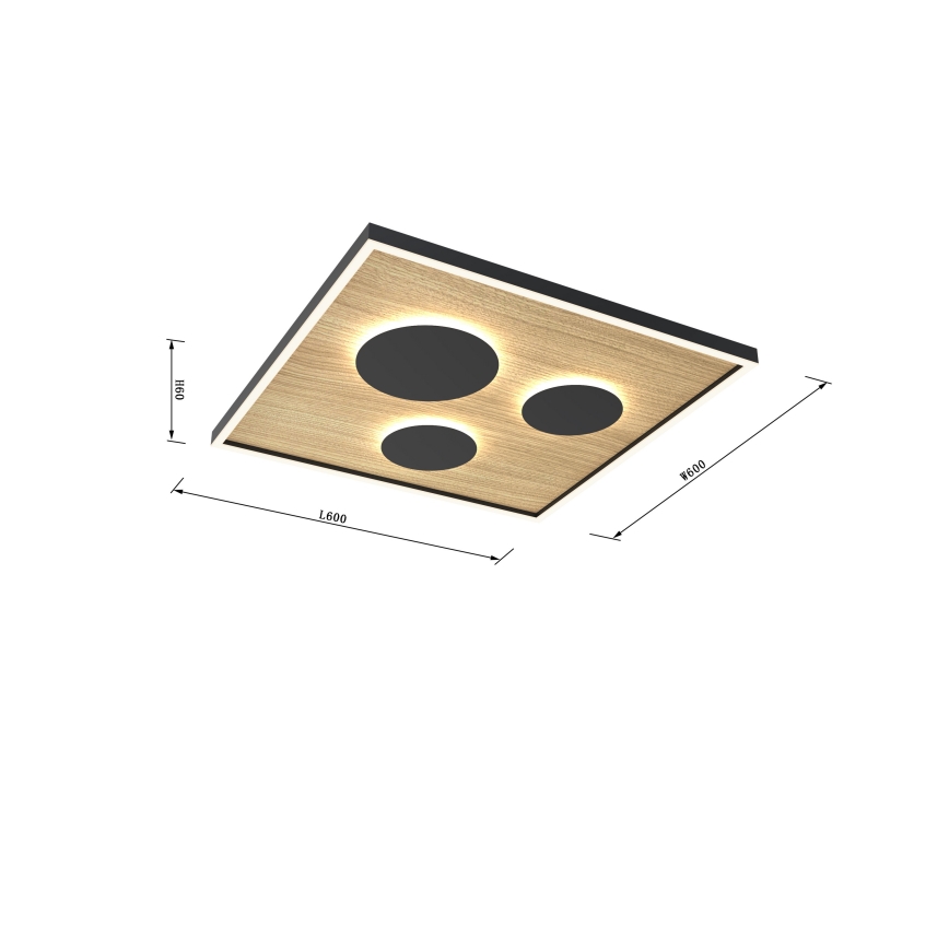 Wofi 9012-306L - LED loftlampe dæmpbar DIJON LED/40W/230V