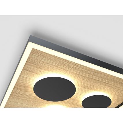 Wofi 9012-306S - LED Dæmpbar loftlampe DIJON LED/26W/230V