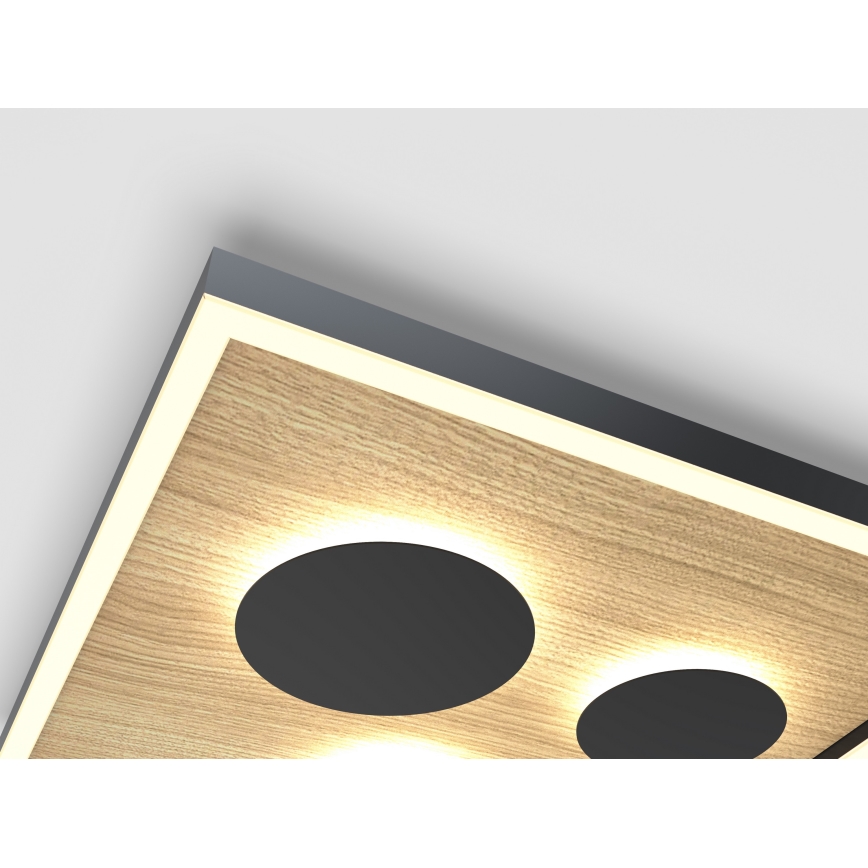 Wofi 9012-306S - LED Dæmpbar loftlampe DIJON LED/26W/230V