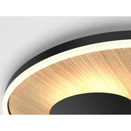 Wofi 9013-306S - LED Dæmpbar loftlampe REIMS LED/26W/230V
