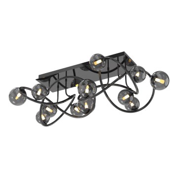 Wofi 9014-1205 - LED loftlampe NANCY 12xG9/3,5W/230V sort/skinnende krom
