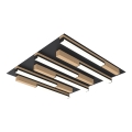 Wofi 9031-606 - LED Dæmpbar loftlampe PALERMO LED/26W/230V gummitræ