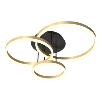 Wofi 9049-401 - LED dæmpbar loftlampe PERPIGNAN LED/51W/230V i guld