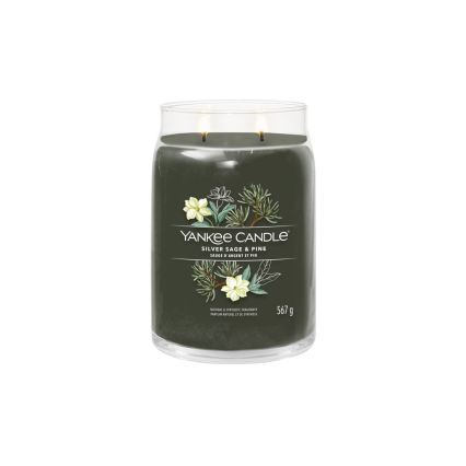 Yankee Candle - Duftlys SILVER SAGE & PINE stor 567g 60-90 timer.