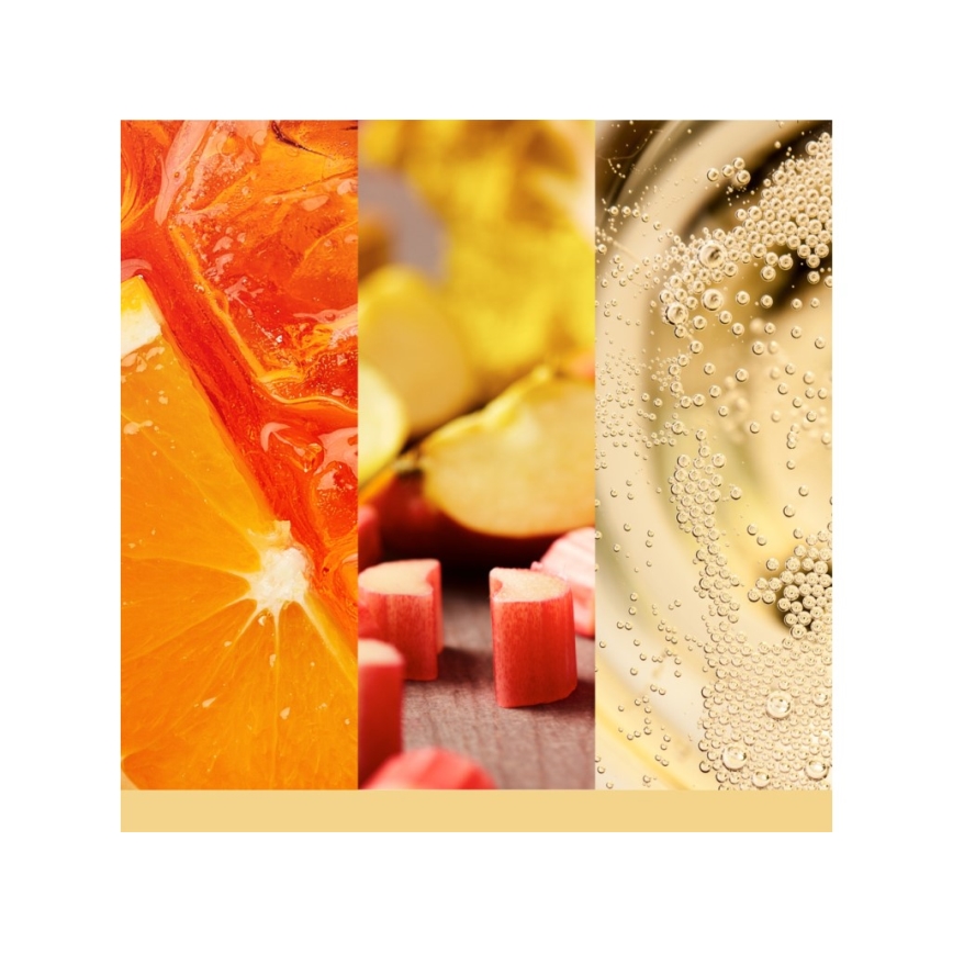 Yankee Candle - Duftlys SLOPESIDE SPRITZ stor 567g 60-90 timer
